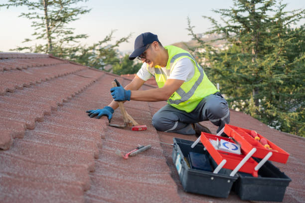 Roof Gutter Cleaning in Millville, DE